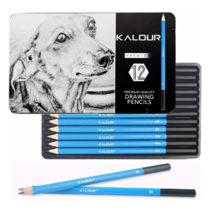 Kalour Pdas Juego De Lápices De Grafito De Dibujo 12 Piezas